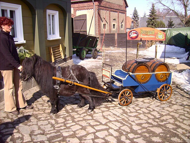 mattus-minis-039.jpg
